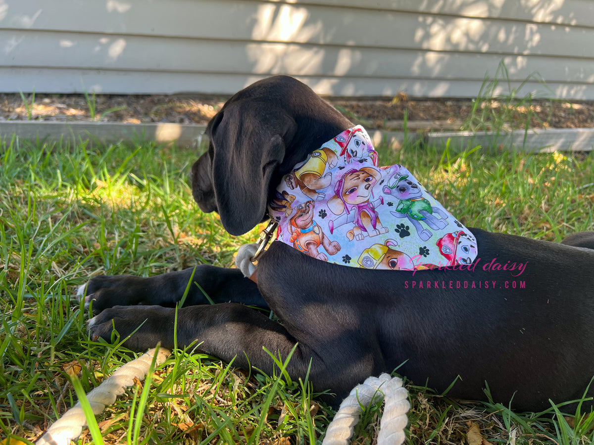 Daisy dog cheap bandana